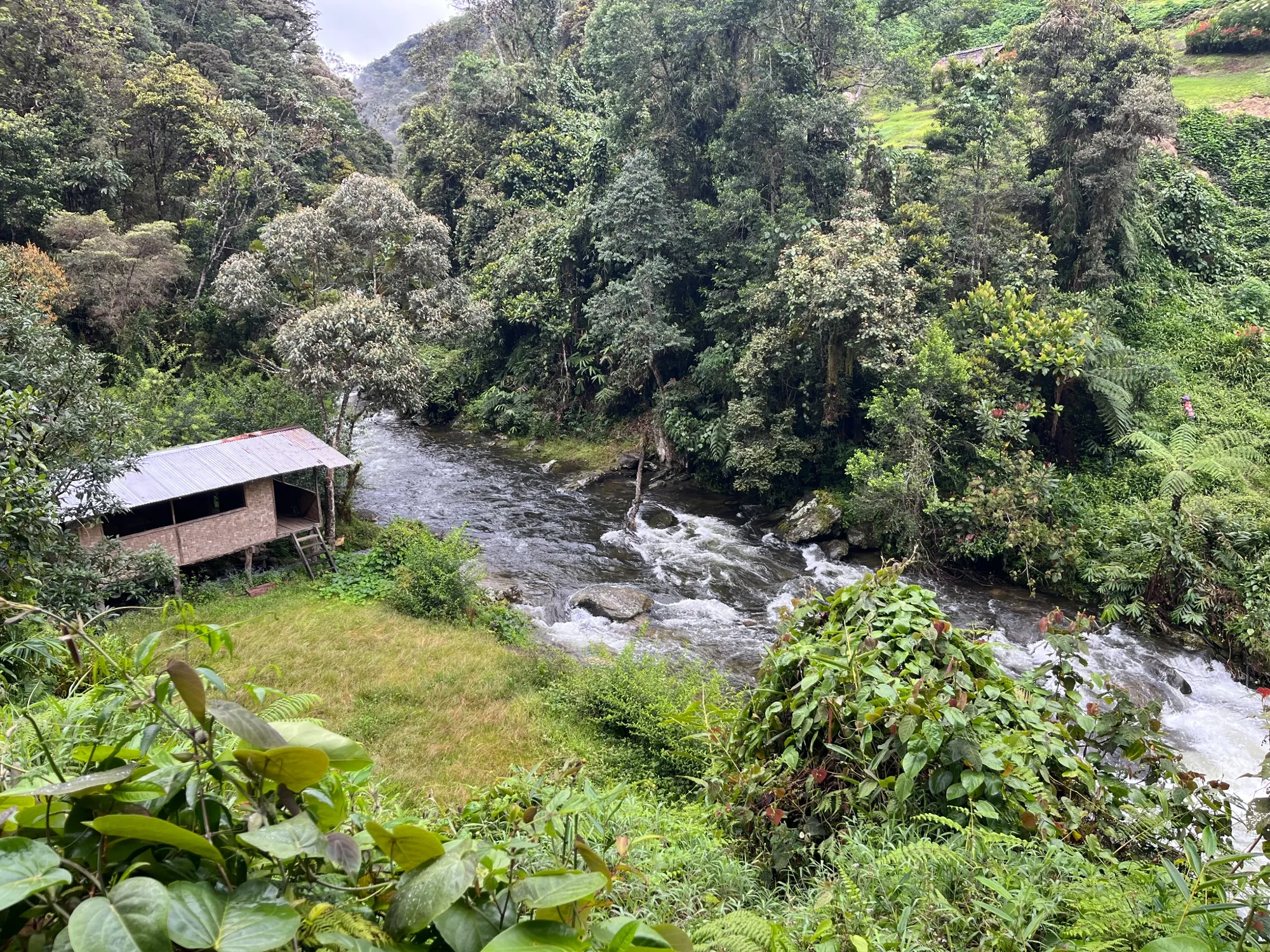 A river flowing through dense forest beside a simple building on the Kokoda Track